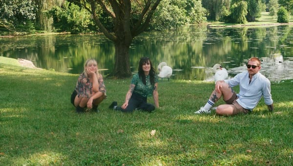 Xanny Stars on the grass