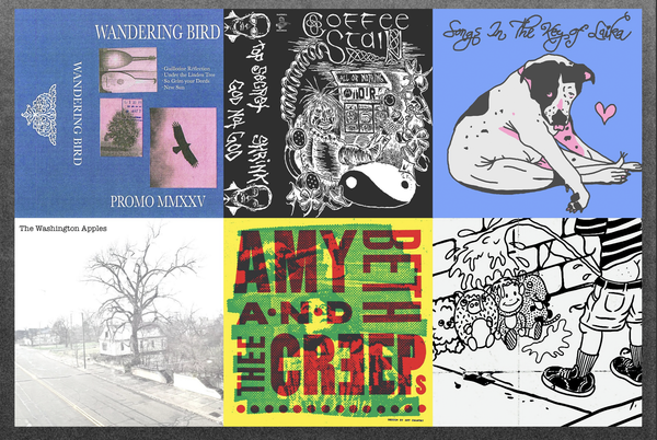 punk this week podcast 63: wandering bird + coffee stain